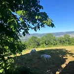 Maison Au Grand Calme